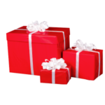 Untitled (150 × 300 px) (300 × 150 px) (150 × 150 px) (300 × 300 px) (1)